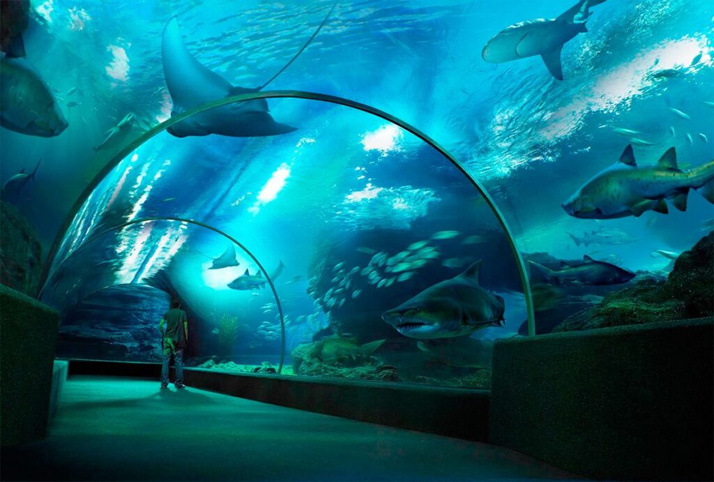Аквариум в Анталии 1