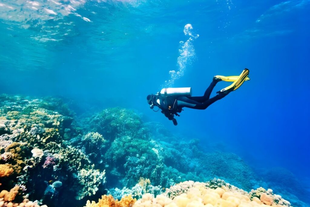 Дайвинг с берега в Наама Бей 1