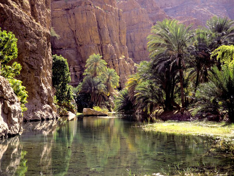 Волшебный Оазис 1